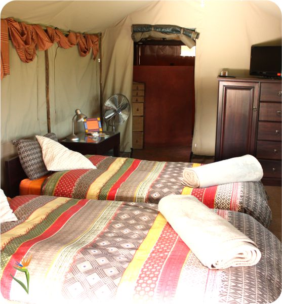 kalahariroom.jpg